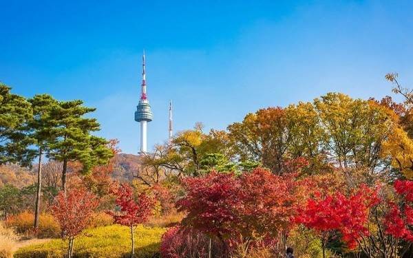 The Beautiful Places In Seoul